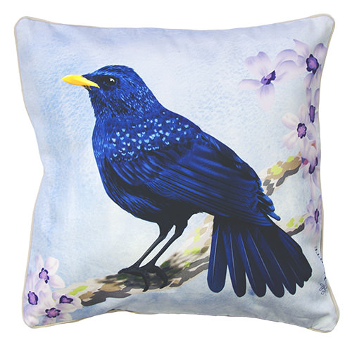 Fashion Illustration